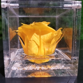 FLOWERCUBE 6X6 ROSA GIALLO