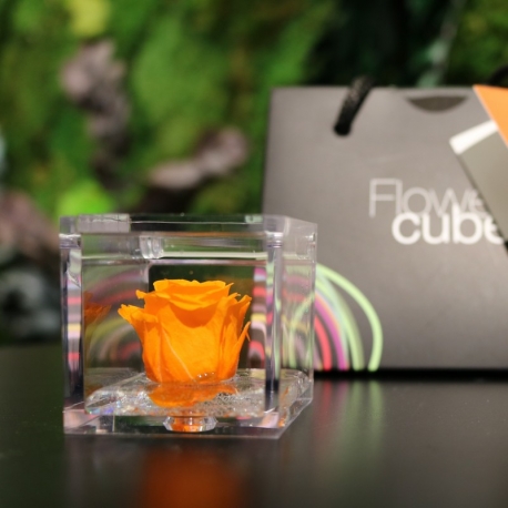 MINI FLOWERCUBE CM4,5X4,5 ROSA PRECIOUSE ARANCIO+SHOPPER