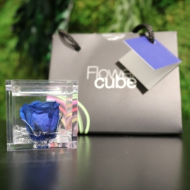 MINI FLOWERCUBE CM4,5X4,5 ROSA PRECIOUSE BLU+SHOPPER