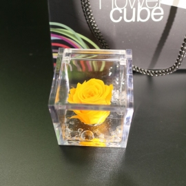 MINI FLOWERCUBE CM4,5X4,5 ROSA PRECIOUSE GIALLO+SHOPPER