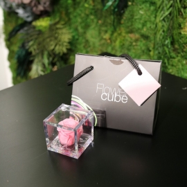 MINI FLOWERCUBE CM4,5X4,5 ROSA PRECIOUSE ROSA+SHOPPER