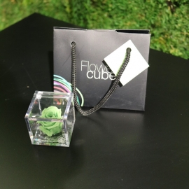 MINI FLOWERCUBE CM4,5X4,5 ROSA PRECIOUSE VERDE+SHOPPER