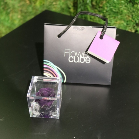 MINI FLOWERCUBE CM4,5X4,5 ROSA PRECIOUSE VIOLA+SHOPPER