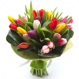 Bouquet tulipani misti