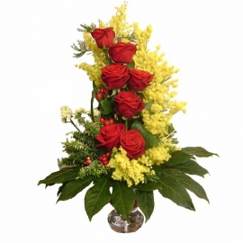 Bouquet mimosa 7 rose rosse