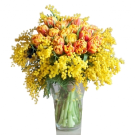 Bouquet mimosa tulipani