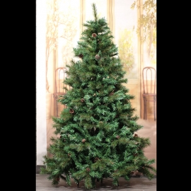 ALBERO MINNESOTA CM.150