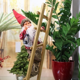 26" SANTA CLIMB LADDER