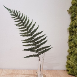 FELCE PARCHMENT FERN GREEN