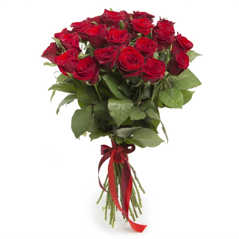 Gruppo Soria Rose rosse stelo lungo per san valentino