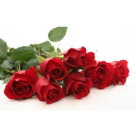 Rose Rosse San Valentino  Stelo Lungo