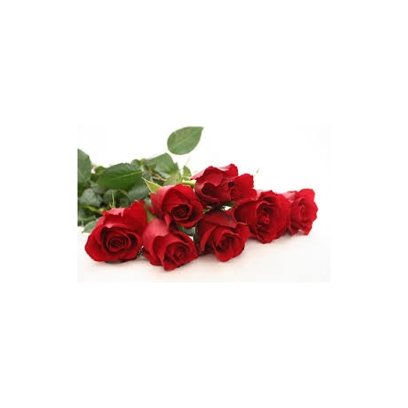 Rose Rosse San Valentino  Stelo Lungo