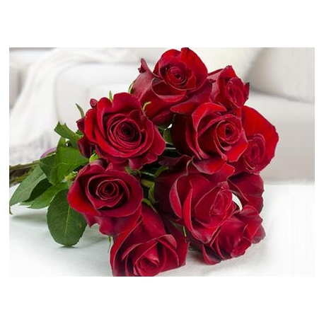 Gruppo Soria Rose rosse stelo lungo per san valentino