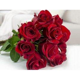 Rose Rosse San Valentino  Stelo Lungo