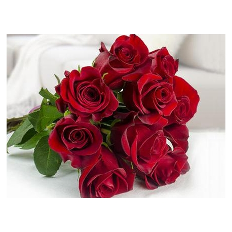 Rose Rosse San Valentino  Stelo Lungo