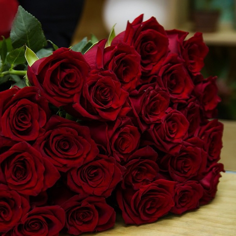 Gruppo Soria Rose rosse stelo lungo per san valentino