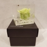 FLOWERCUBE 6X6 ROSA VERDE