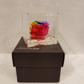 FLOWERCUBE 6X6 ROSA RAINBOW