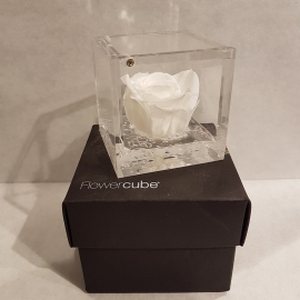 FLOWERCUBE 6X6 ROSA BIANCO