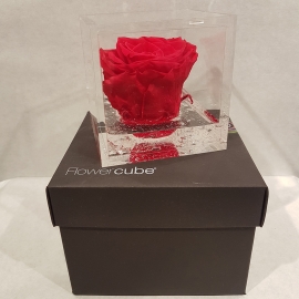 FLOWERCUBE 8X8 ROSA ROSSO