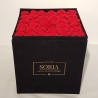 Scatola (Flower box) con rose stabilizzate