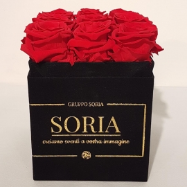 Scatola (Flower box) con rose stabilizzate h.15