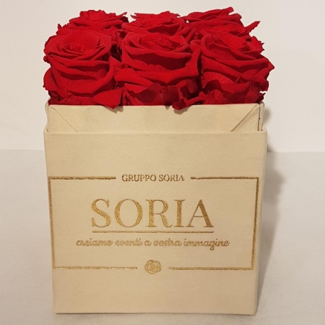 Scatola (Flower box) con rose stabilizzate h.15