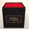 Scatola (Flower box) con rose stabilizzate h.20