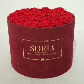 Scatola (Flower box) con rose stabilizzate d.25