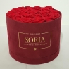 Scatola (Flower box) con rose stabilizzate