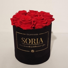 Scatola (Flower box) con rose Fresche.D15