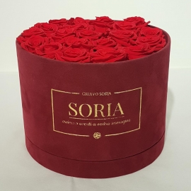 Scatola (Flower box) con rose Fresched.25