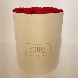 Scatola tonda bianca D.30 (Flower box) con rose Fresche