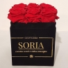 Scatola (Flower box) con rose Fresche.h.15