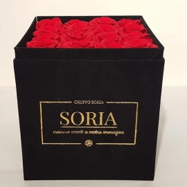 Scatola (Flower box) con rose Frescheh.20