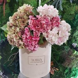 ORTENSIA EXTRA LUSSO CON 5 FIORI 