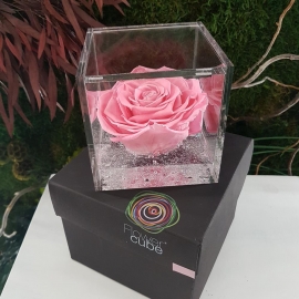 FLOWERCUBE ROSA NERA