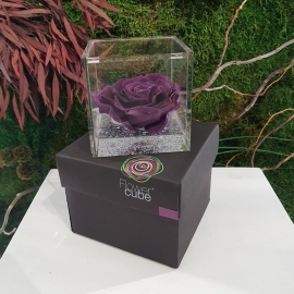 FLOWERCUBE 10X10 ROSA  VIOLA