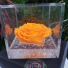 FLOWERCUBE 12X12 ROSA ARANCIO