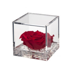 FLOWERCUBE 12X12 ROSA ROSSO