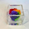 FLOWERCUBE 8X8 ROSA RAINBOW