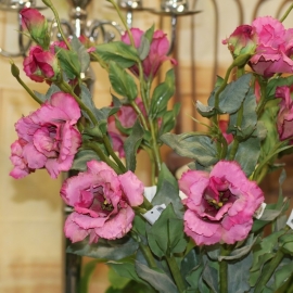 5 STELI  DI LISIANTHUS LUSSO