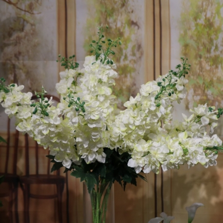 DELPHINIUM EDEN RAMO H93 IVORY