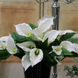 5 stelidi di CALLA LILY X 2