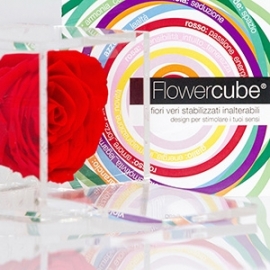 Flower Cube